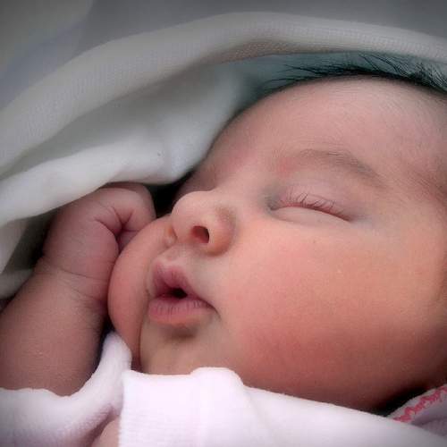 Photo #7738367