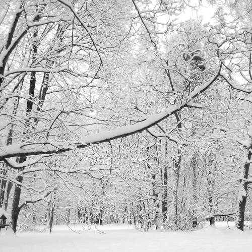 Photo #7738400