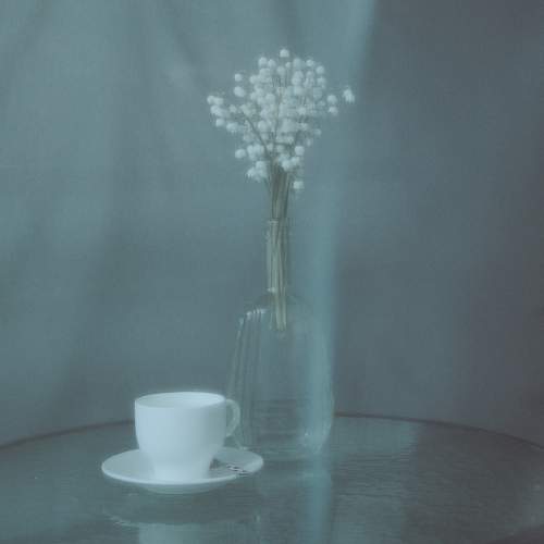 Photo #7738478