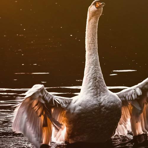 Photo #7738925