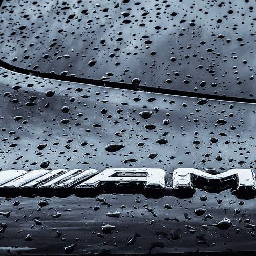 Photo #7738957