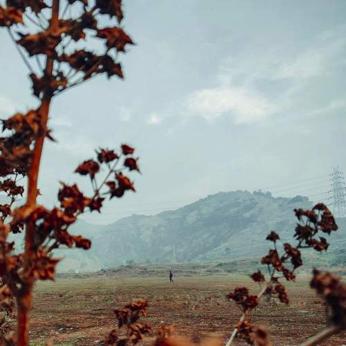 Photo #7739384