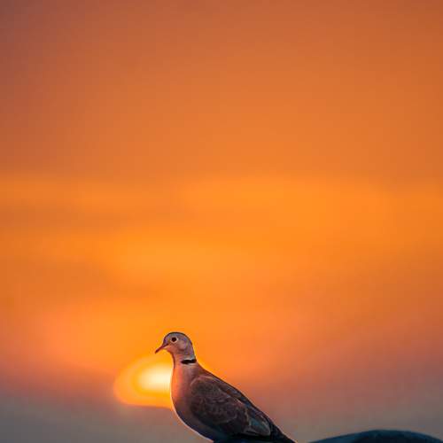 Photo #7739878