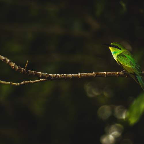 Photo #7739925