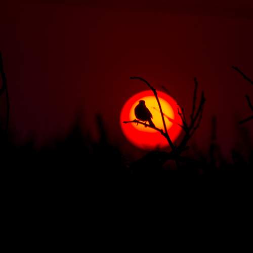 Photo #7739928