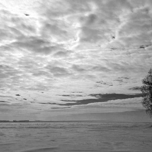 Photo #7740089