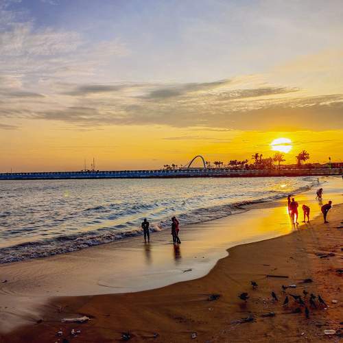 Photo #7740357