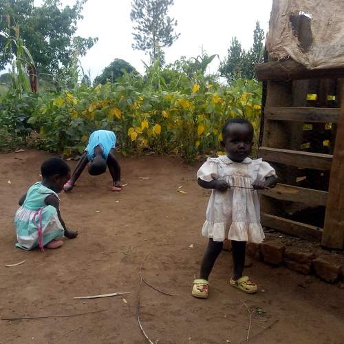 Photo #7740454