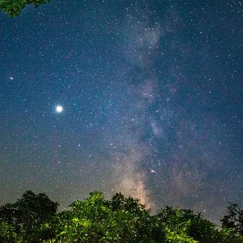 Photo #7740588