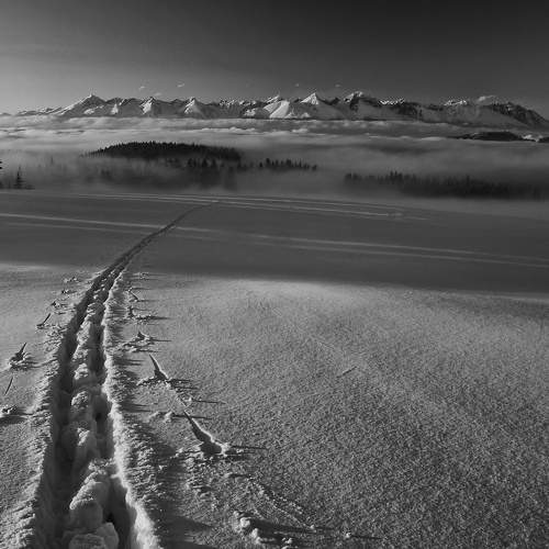 Photo #7740595
