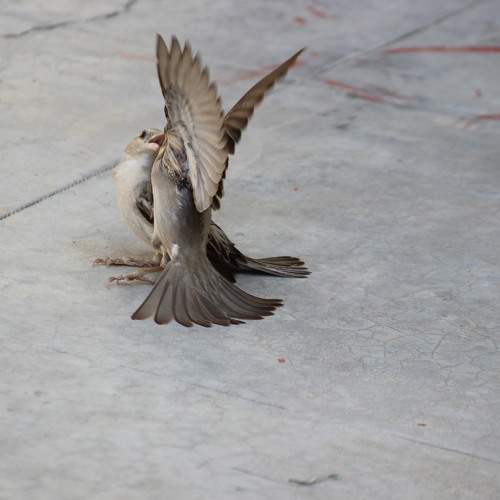 Photo #7740985
