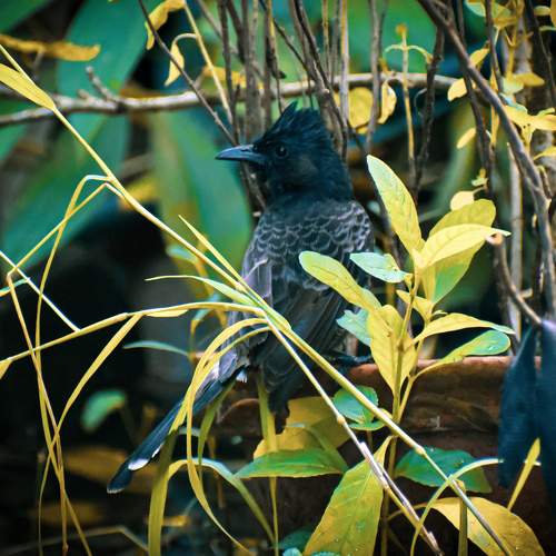 Photo #7741254