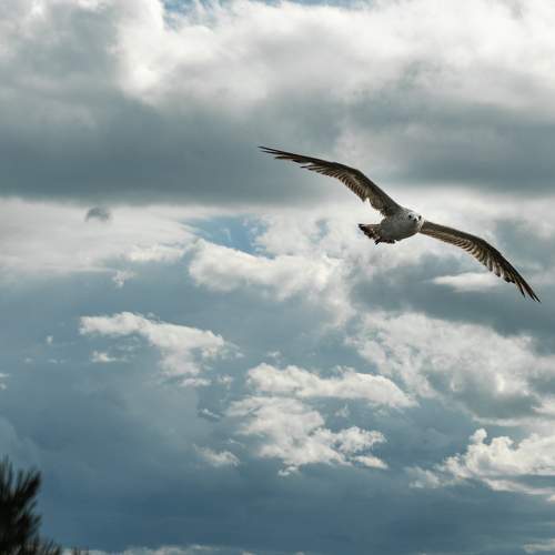 Photo #7741947
