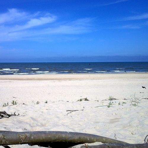 Photo #7742185