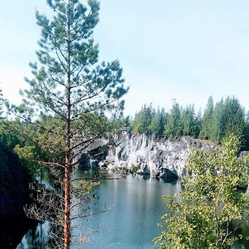 Photo #7742191