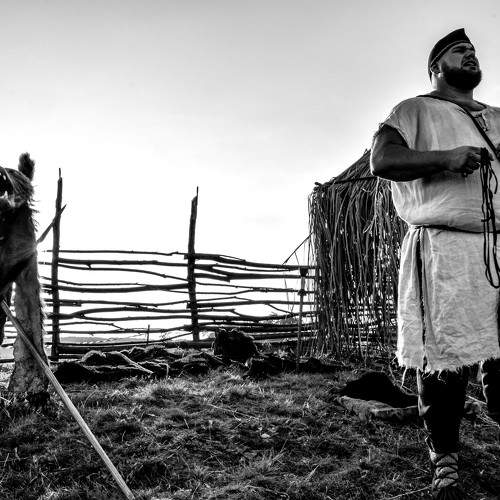 Dacian Wolf