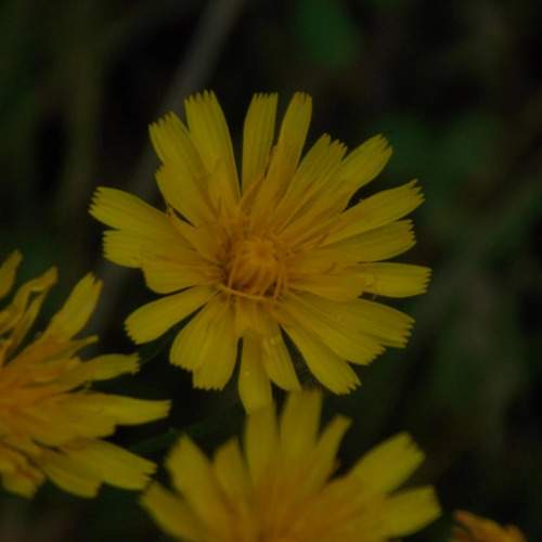 Photo #7742770
