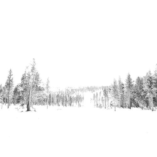 The White Forest