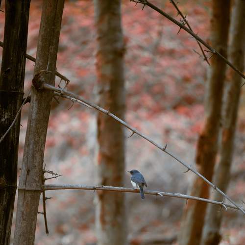 Photo #7743487