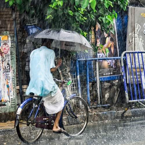 Photo #7743613