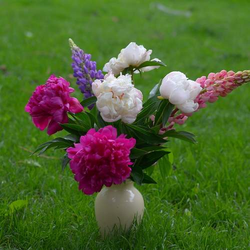 Photo #7743680