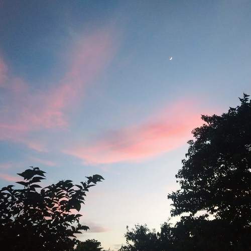 Photo #7743770