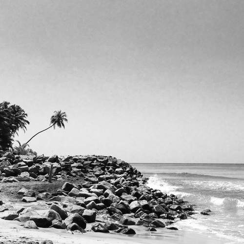 Photo #7744169