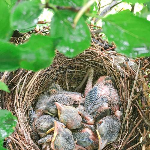 Фотография #7744215
