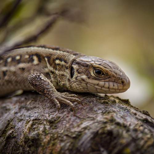 Photo #7744521