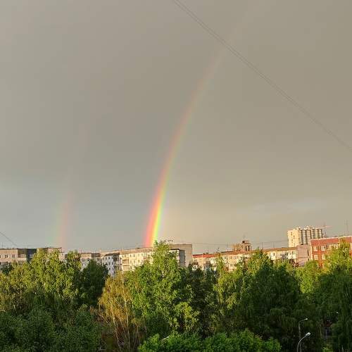 Photo #7744747