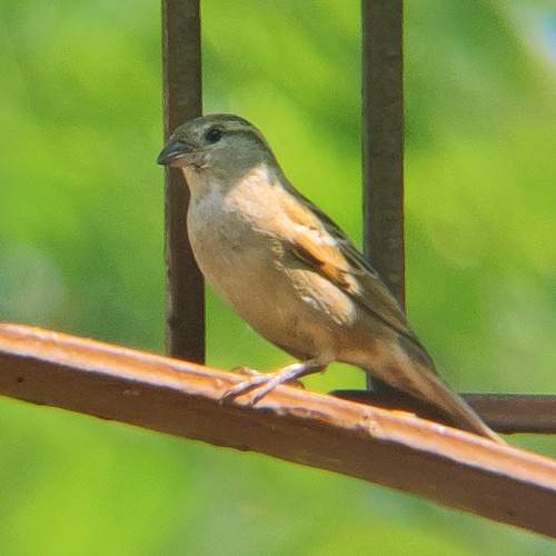 Photo #7744906