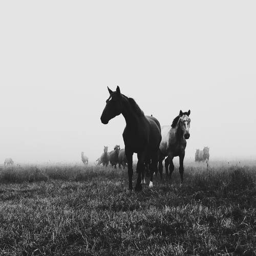 Photo #7745144