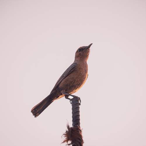 Photo #7745296