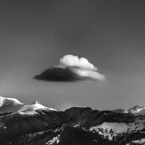 Photo #7745399