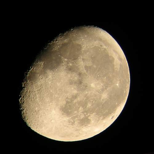 Photo #7745630