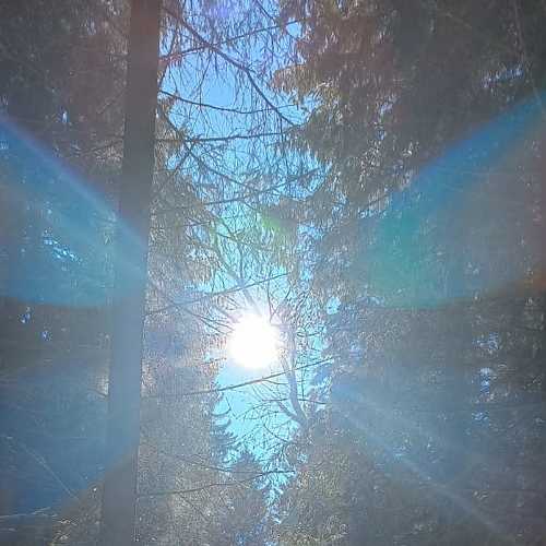 Photo #7745731