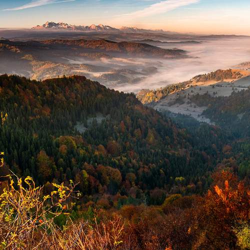 Photo #7745829
