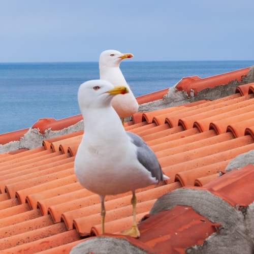 Photo #7745862