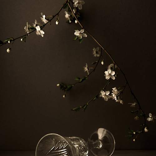 Photo #7746052