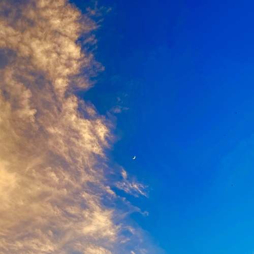 Photo #7746147