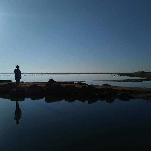 Photo #7746279