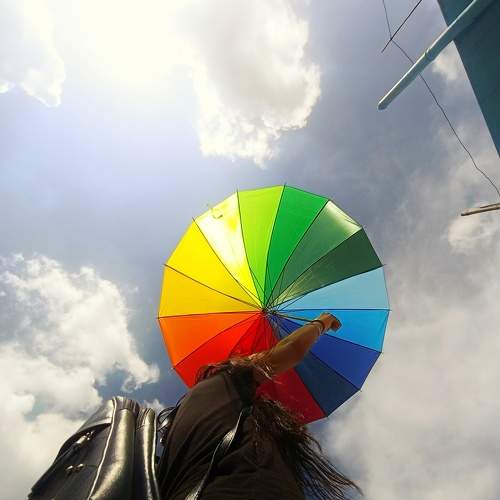 Photo #7746759