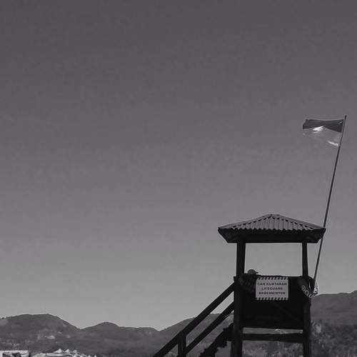 Photo #7746975