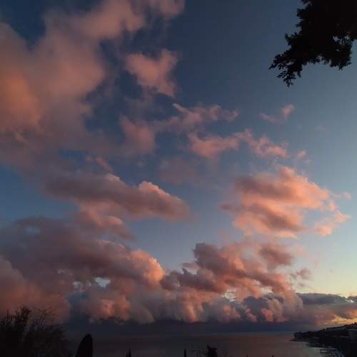 Photo #7746979