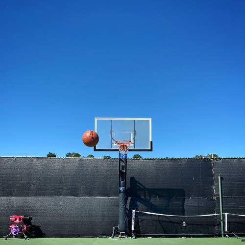 The Court