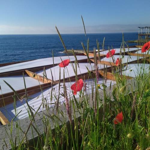 Photo #7747262