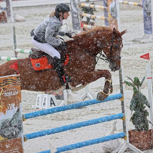 Photo #7747387