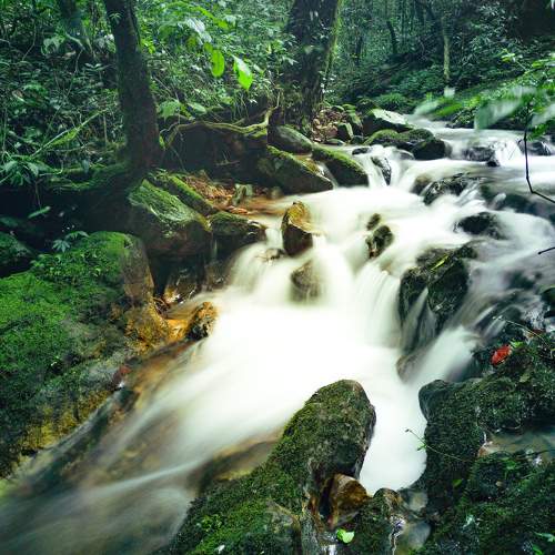 Photo #7747504