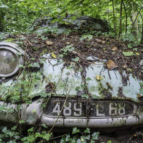 Photo #7747670