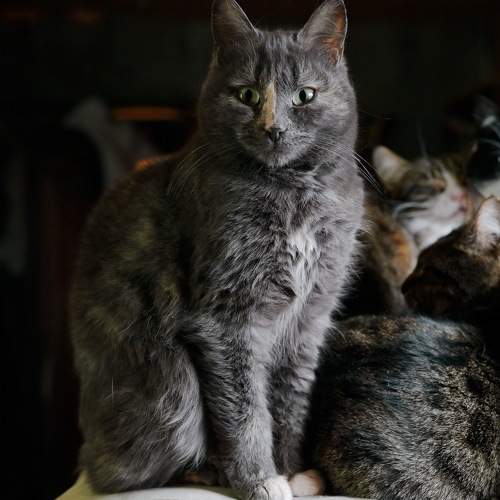 Photo #7747838